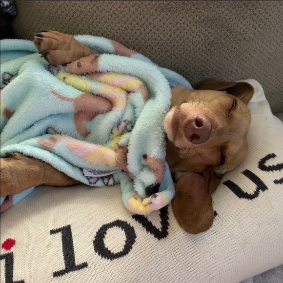 Share for share...⬇️⬇️⬇️⬇️. PLEASE read below. - Picture 8 of 16